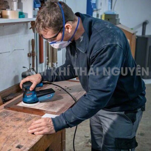 Máy chà lệch tâm GEX 125-1 AE 06013875K0